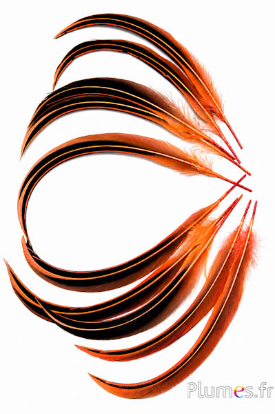 Eend Mandarin - 15-20 cm - oranje rood